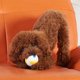 thumbnail image 3 of Pelotas de juguete para perros de goma de látex chirriantes para perros pequeños, medianos y grandes, pelota flotante interactiva para masticar, deportes acuáticos, buscar y jugar Adepaton 2035132-1, 3 of 9