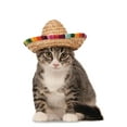 thumbnail image 2 of Rubies Pet Shop Boutique Pet Halloween Costume Accessory Multi-color Sombrero Hat For Dog or Cat, 2 of 13