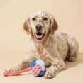 thumbnail image 4 of Oodles Durable Knotted Rope Dog Toy Set, Multicolored, Large, 4 of 10