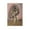 Unframe-style, variant on Salvador Dali Wall Art Prints The Donkey S Carcass Art Poster Painting On Canvas Wall Art Poster Scroll Picture Print Living Room Walls Decor Home Posters 16x24inch(40x60cm)