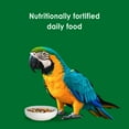 thumbnail image 4 of Kaytee Forti-Diet Parrot Food, 8 Pounds, 4 of 7