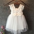 thumbnail image 2 of Kid Baby Girl Sleeveless Lace Kids Tulle Party Wedding Princess Dress, 2 of 6