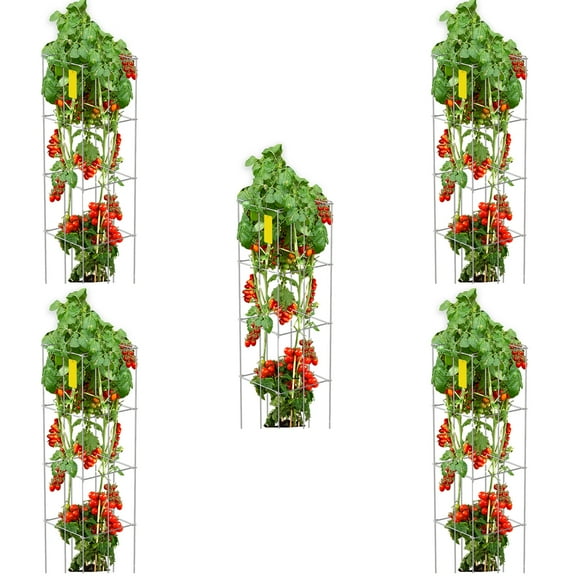 KFFKFF Tomato Cages, 11.8" x 11.8" x 46.1", 5 Packs Square Plant Support Cages, Silver PVC-coated Steel Tomato Towers for Climbing Vegetables, Plants, Flowers, Fruits