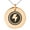 Rose, variant on Stainless Steel Electric Element Rune Engraved Small Medallion Circle Charm Pendant Necklace