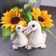 thumbnail image 5 of Maceta con forma de animal para plantas suculentas Maceta de resina con diseño trasero y agujeros Adecuada para decoración de mini jardines interiores/exteriores Adecuada para el hogar/escritorios, 5 of 8