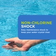 thumbnail image 5 of FROG Maintain for Hot Tubs - Non-Chlorine Shock for use with all Hot Tub FROG Sanitizing Systems - Single Dose Packets for Easy Hot Tub Maintenance & Treatment - 3 Pack, 5 of 8