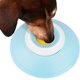 thumbnail image 2 of Methold Juguete interactivo de alimentación lenta para lamer para perros y gatos. Reduce la ingestión para comidas tranquilas. Suministros para gatos blanco, 2 of 6