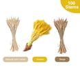 thumbnail image 4 of leyfeng 100 tallos de flores secas, orejas de trigo natural, tallos de trigo secos, paquete de flores de grano de trigo para, 4 of 8