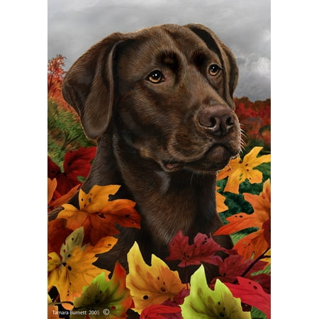 Chocolate Labrador - Best of Breed Fall Leaves Garden