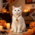 thumbnail image 5 of Halloween Pet Charm Necklace Collar, Cute HalloweenâElement Pendant Decorative Gold Chain Necklace, Pet Accessory for Cats & Small Dogs Halloween Party Dressâup, 5 of 6