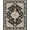 Black Ivory Beige, Pattern 19, variant on ODIKA 8'x10' Washable Area Rug Durable, Non-Slip Boho Southwestern Vintage Botanical Vine Scrollwork Border Distressed for Living Room, Under Sectional, Family