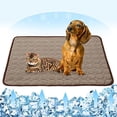 thumbnail image 1 of Esterilla de enfriamiento automático para perros y gatos, almohadillas de enfriamiento lavables para mascotas, manta para dormir, esterilla para dormir de seda helada, cama para dormir transpirable, 1 of 5