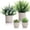 color a, variant on 4 Pack Small Fake Plants Eucalyptus Rosemary Succulents Plants Artificial in Pots for Shelf Artificial Greenery Eucalyptus Plant Indoor for Home Bedroom Living Room Decoration