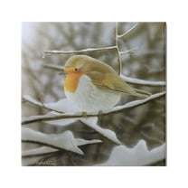 Stupell Industries Little Bird Perched Detailed Snow Covered Twigs Painting Gallery Wrapped Canvas Print Wall Art, Design by Alan Weston