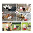 thumbnail image 4 of Top Filling Chick Feeder and Waterer Kit , Chick Feeder and Waterer with 3 Heights Adjustable Legs for Chicks, 4 of 5