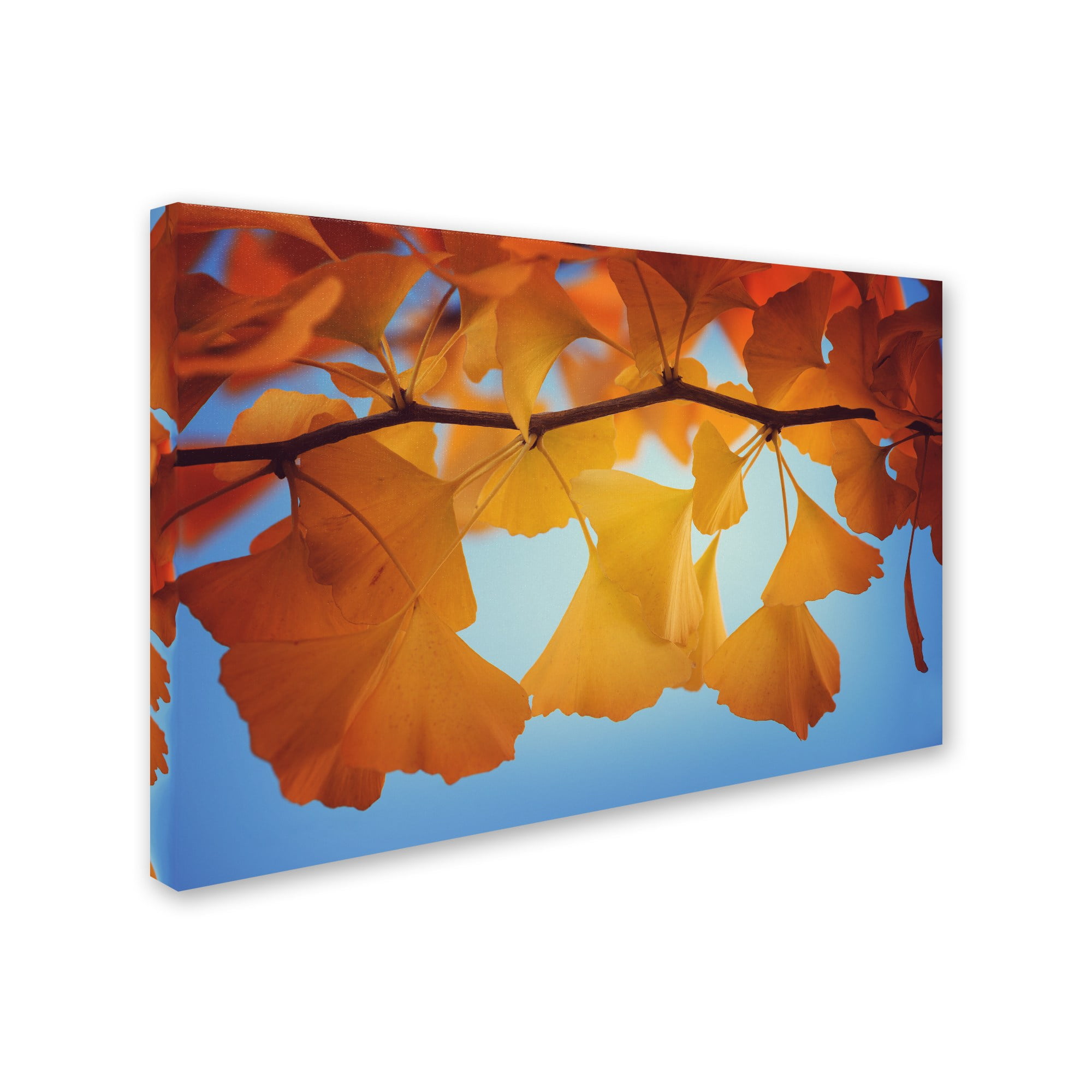 Trademark Fine Art "Spiritual Food" Canvas Art by Philippe Sainte-Laudy