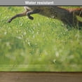 thumbnail image 6 of Ambesonne Fox Place Mats Set of 4, Jumping Animal Fresh Grass, Standard Size, Green Brown, 6 of 6