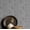 Gray (Plain Vinyl), variant on S4Sassy Classic Tile Wallpaper - Gray Wall Covering, 25" X 240" Self-Adhesive Plain Vinyl Wall Paper, Walls Wrap, Elegant Removable Wallpaper For Living Room, Office, Hallway, Study Room