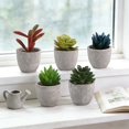 thumbnail image 3 of USPEED 5 Pots Succulents Plants Artificial in Pots Small Fake Plants for Bedroom Aesthetic Living Room Shelf Bathroom Decor Office Desk Accessories, 3 of 10