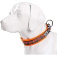 thumbnail image 3 of HAHDAXIA - Premium Dog Collar - Neoprene Padded, Reflective Dog Collar for Large, Medium, and Small Size Dogs, 3XL Orange, 3 of 4