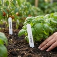 thumbnail image 6 of Harris Seeds Plastic Plant Labels, 8 x 5/8 Inch Weatherproof Garden Markers, White, 250 Count, 6 of 7
