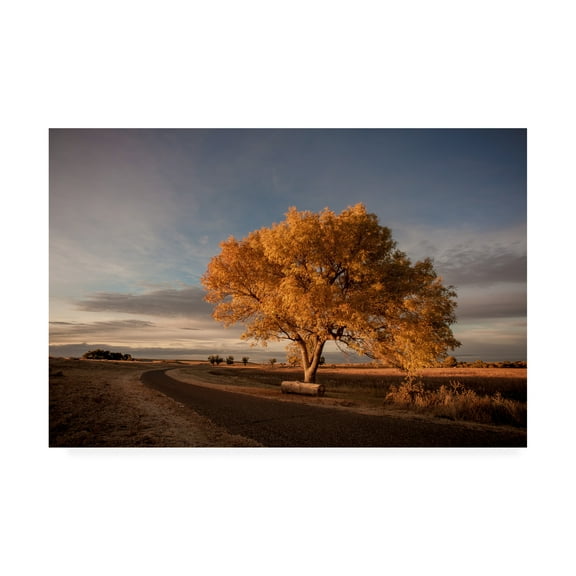 Trademark Fine Art 'Road Turn' Canvas Art by Dan Ballard