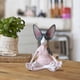 thumbnail image 4 of Cat Figurine Resin Zen Yoga Cat Statue Garden Decoration Outdoor Sculpture Home, 4 of 5