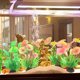 thumbnail image 4 of 10 piezas de acuario decoradas con plásticos vegetales, adornos accesorios para acuarios, adornos para acuarios., 4 of 5