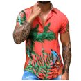 thumbnail image 1 of Camisa suelta de manga corta con estampado hawaiano y solapa para hombre Pompotops oipoqjl44706, 1 of 3