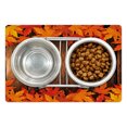 thumbnail image 1 of Fall Pet Mat for Food and Water, Dry Leaves Poured Onto Wooden Board Cabin Cottage Rustic Country Life Theme Print, Non-Slip Rubber Mat for Dogs and Cats, 18" X 12", by Ambesonne, 1 of 2