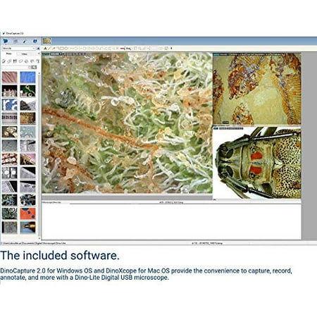 Dinoscope software Dinoscope software