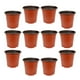 thumbnail image 2 of 50 macetas de plástico para flores, útiles para plantas suculentas., 2 of 7