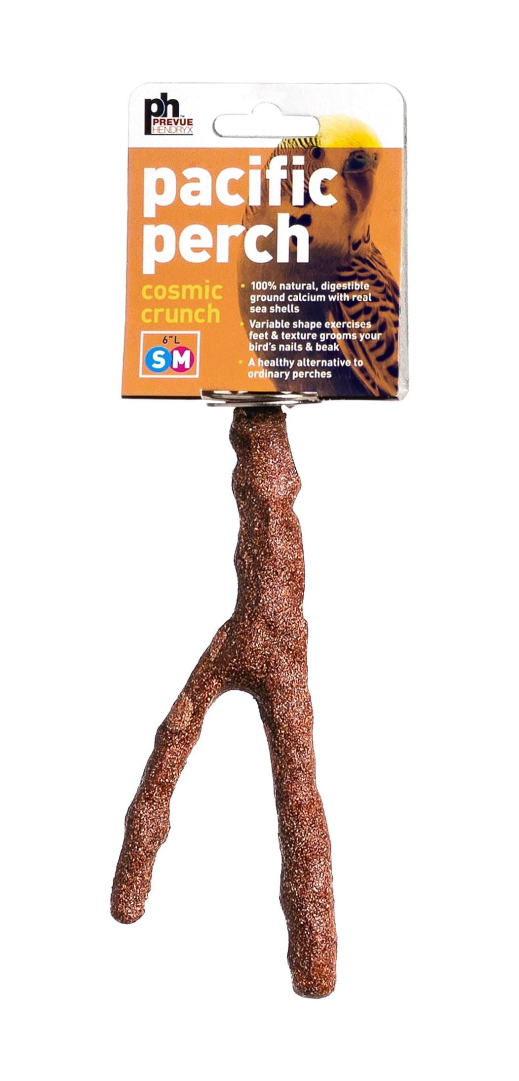Prevue Pet Products Pacific Perch Brown Seashell and Wood Cosmic Crunch Bird Perch, 6 inch