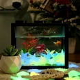thumbnail image 6 of Glow in The Dark Sea Star Aquarium Decor - DIY Luminous Pebbles & Glow Rocks for Fish Tank Decor, Artificial Starfish Landscaping Stone for Aquascape & Terrarium, 6 of 7