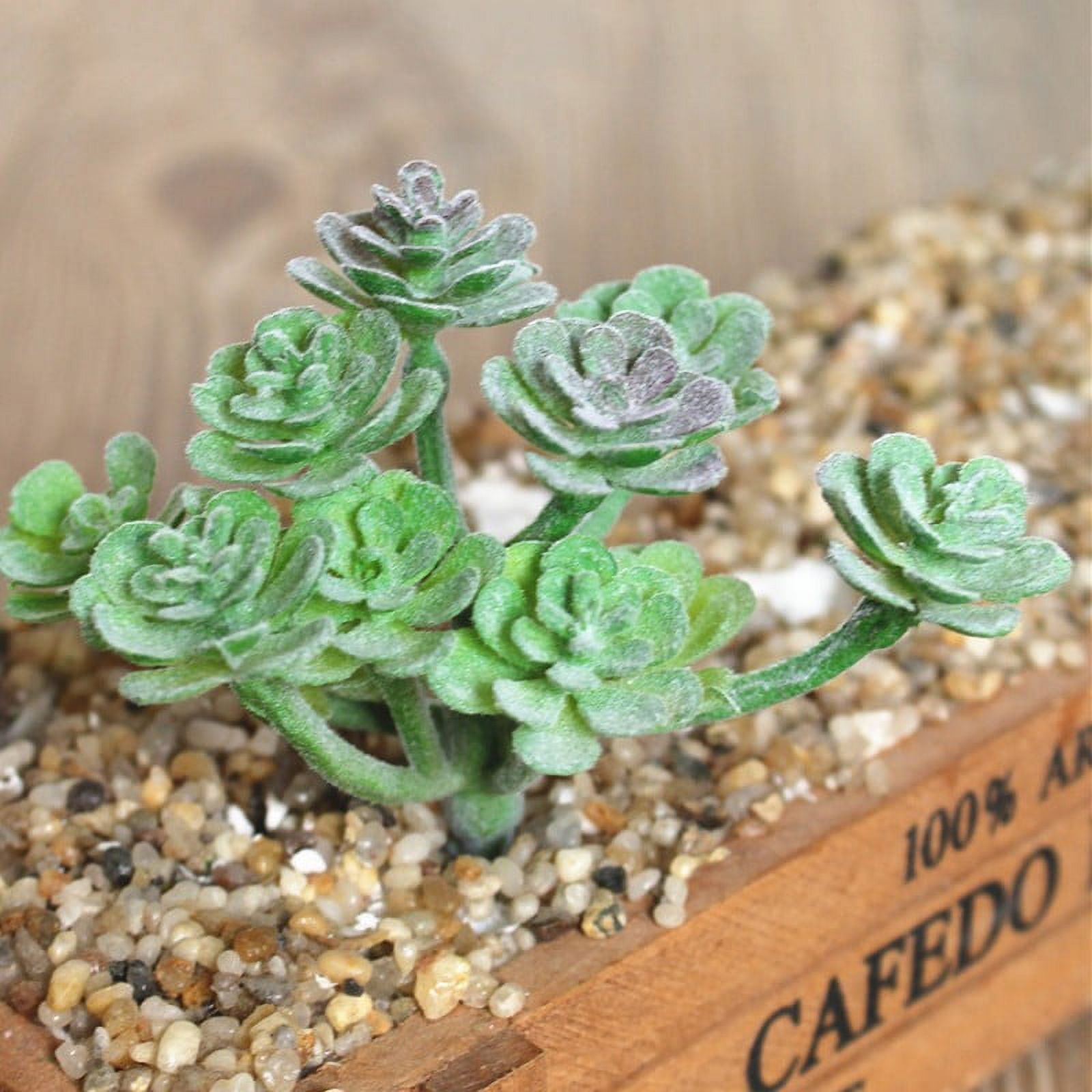 1* Piece Artificial Plant Artifical Plastic Succulent Plant Cactus - Foto 3