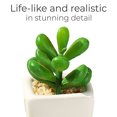 thumbnail image 3 of Mini potted plants plastic succulents home office decoration, 3 of 5