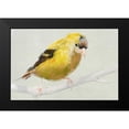 thumbnail image 2 of Butcher, Sarah 14x11 Black Modern Framed Museum Art Print Titled - Goldfinch, 2 of 5