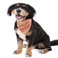 thumbnail image 2 of Flapjacks Pyjamas Assortis pour Chien Bébé & Enfants Adolescents et Adultes (Tailgate Moyen), 2 of 7