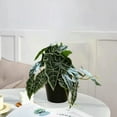 thumbnail image 5 of Pklyzj Clearance Simulation Alocasia Macrorrhizos Pot Home Living Room Decoration Pot Fresh Small Green Plant Fake Plants Grocery & Essentials, 5 of 6