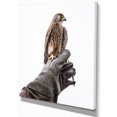 thumbnail image 2 of Kestrel Sitting on Falconer Hand - Abstract Canvas Art Print, 2 of 3
