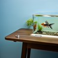thumbnail image 4 of BESTYASH Difusor De Co2 Para Acuario Con Compacto Para De, 4 of 8