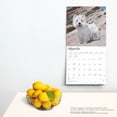 thumbnail image 5 of West Highland White Terriers 2025 12 X 24 Inch Monthly Square Wall Calendar Plastic-Free (Wall), 5 of 9