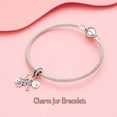 thumbnail image 5 of ROSIANNA 925 Sterling Silver Claw-Marked Bone Circular Character Plaque Dangle Charm, 5 of 5
