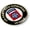 Flexible, variant on BestLicensePlateFrames - US Army 82nd Airborne Veteran 3D Domed Car Emblem Badge Sticker Semi-Flexible Aluminum Bezel - Official U.S. Army Licensed Product
