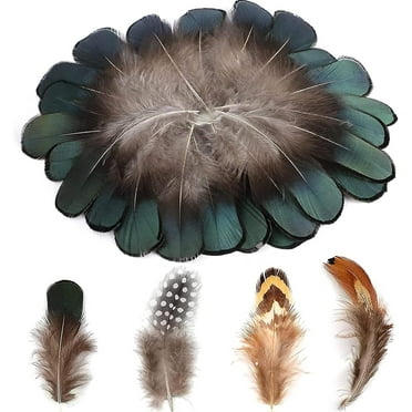 Efavormart 12 Pack | 13"-15" Black Natural Plume Real Ostrich Feathers ...