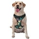 thumbnail image 1 of Balery Green Tropical Leaves Arnés para Perros Grandes Antitirones, Arnés con Correa para Gato, Arnés Tipo Chaleco para Perros Pequeños-Large, 1 of 6