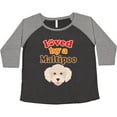 thumbnail image 3 of Inktastic Maltipoo Dog Gift Poodle Maltese Women's Plus Size T-Shirt, 3 of 5
