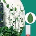 thumbnail image 2 of 30 Pieces Plant Climbing Wall Fixture Clips with 36Pieces Acrylic Adhesive Sticker Plant Fixer Invisible Wall Vines Fixing Clips Self-Adhesive Hook Plant Vine Traction for Indoor Outdoor Decoration, 2 of 8