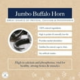 thumbnail image 2 of Hollings Buffalo Horn Jumbo Case of 8, 2 of 6
