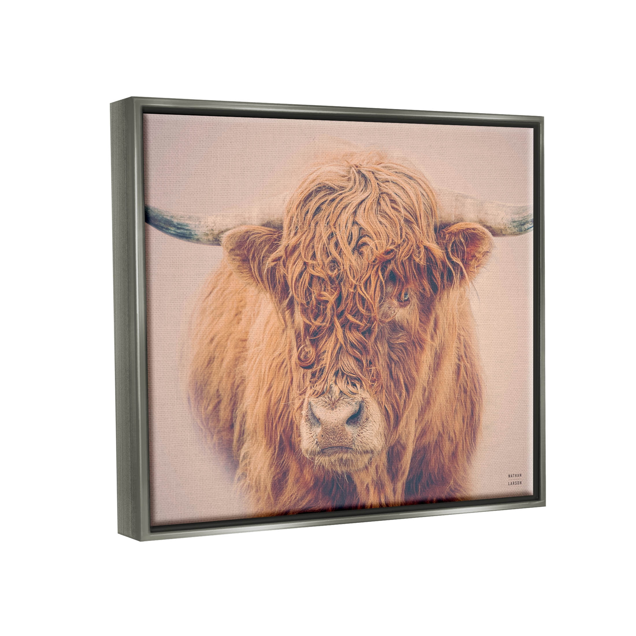 Stupell Industries Highland in Winter Fog Brown Cow Photograph Luster Gray Floating Framed Canvas Print Wall Art, Design by Nathan Larson